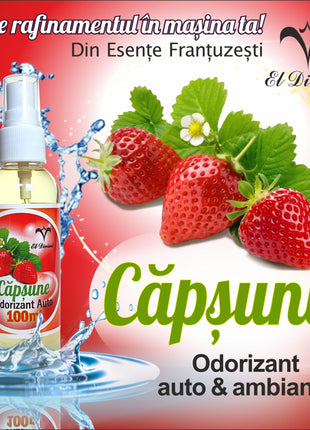 Odorizant auto concentrat 100 ml – Capsuni